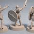 Soldiers of Nemis with Sword and Shield (3 unique miniatures) image