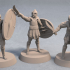 Soldiers of Nemis with Sword and Shield (3 unique miniatures) image