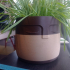 flower pot with a face image