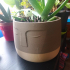 flower pot with a face image