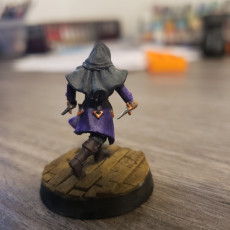 Picture of print of Dark Rogue [PRE-SUPPORTED]