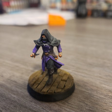Picture of print of Dark Rogue [PRE-SUPPORTED]