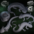 Salamanders, Volume 1: Multipack image