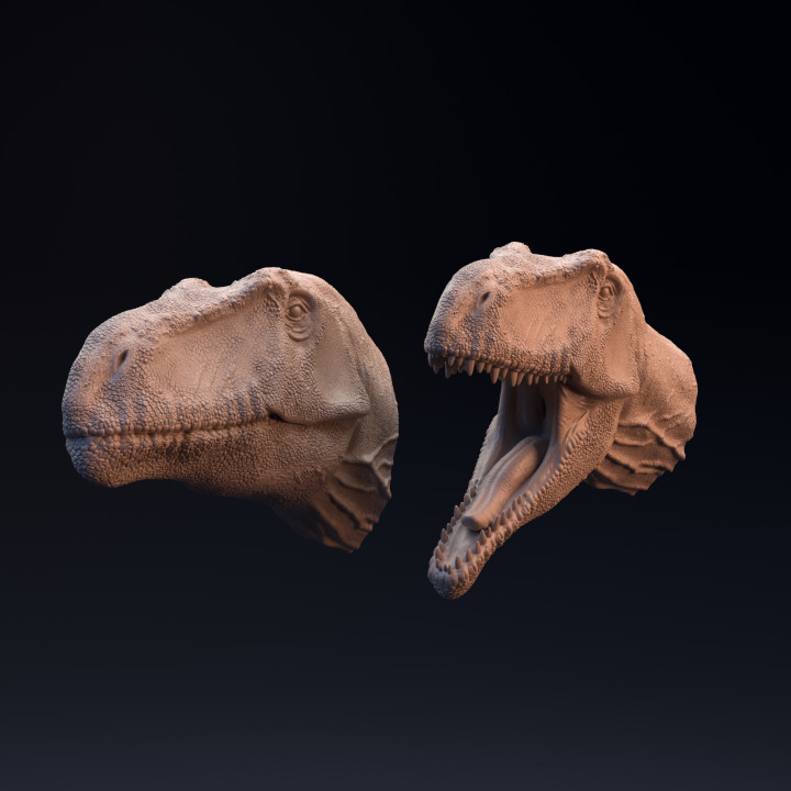 $5.00Giganotosaurus head mouth open and closed
