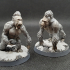 Crushing monkey 4 miniatures set 32mm pre-supported print image