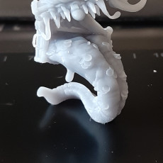 Picture of print of Treasure Chest Mimic [Pre-Suppored]