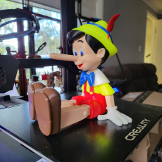 Picture of print of Pinocchio