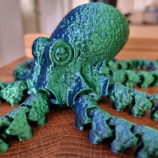 Picture of print of Octopus 2.0