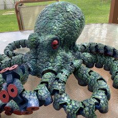 Picture of print of Octopus 2.0