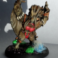 Picture of print of Flying Ape Shaman