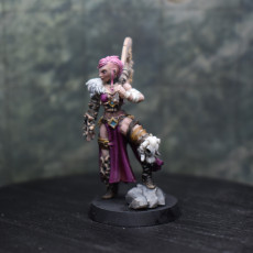 Picture of print of (0071) Female human half-orc tiefling elf barbarian viking with axe
