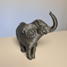 Picture of print of Baby Elephant