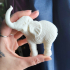 Baby Elephant image
