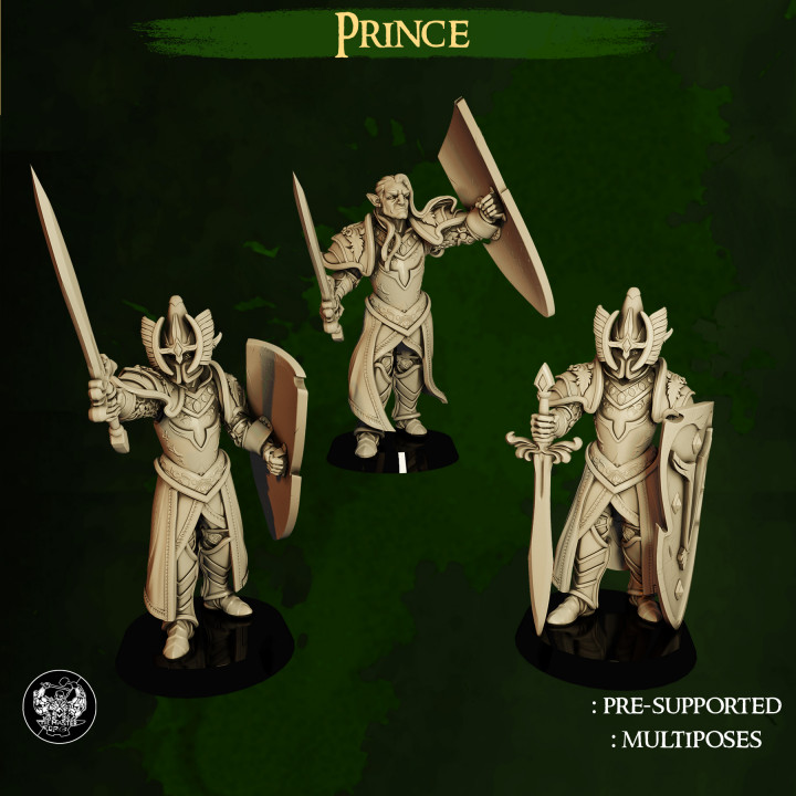 High Elves Prince's Cover