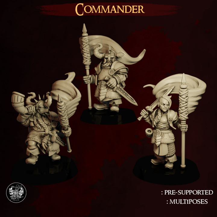 Dwarf Army Commander's Cover