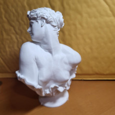 Picture of print of Clytie
