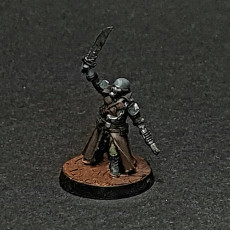 Picture of print of Steel Guard - Officer of the Imperial Force