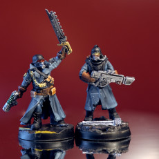 Picture of print of Steel Guard - Officer of the Imperial Force