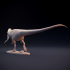 Cryolophosaurus Ellioti - dinosaur image