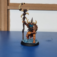 Picture of print of Badlands Orcs Shaman