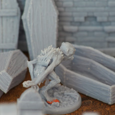 Picture of print of Coffins /Terrain/ /Pre-supported/