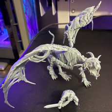 Picture of print of Mummy Dragon