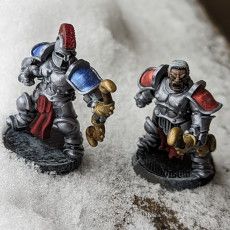 Picture of print of Storm Knights with Bows (pre supported)