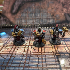 Picture of print of Storm Knights with Hammers (pre supported)
