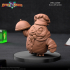 Owlkin Chef 1A Miniature - Pre-Supported image
