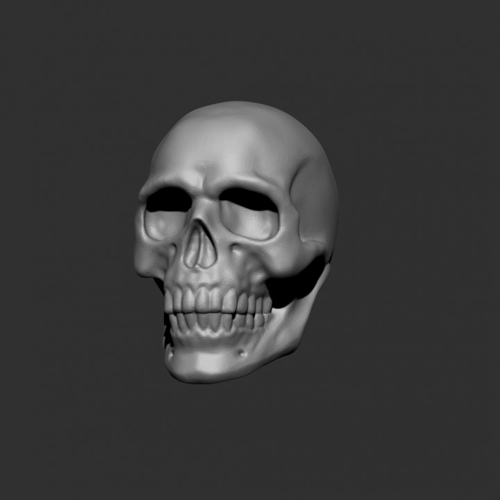 Human Skull for wargaming