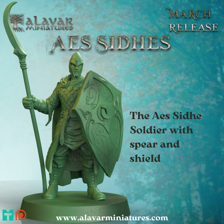 $4.00The Aes Sidhe Soldier with spearand shield