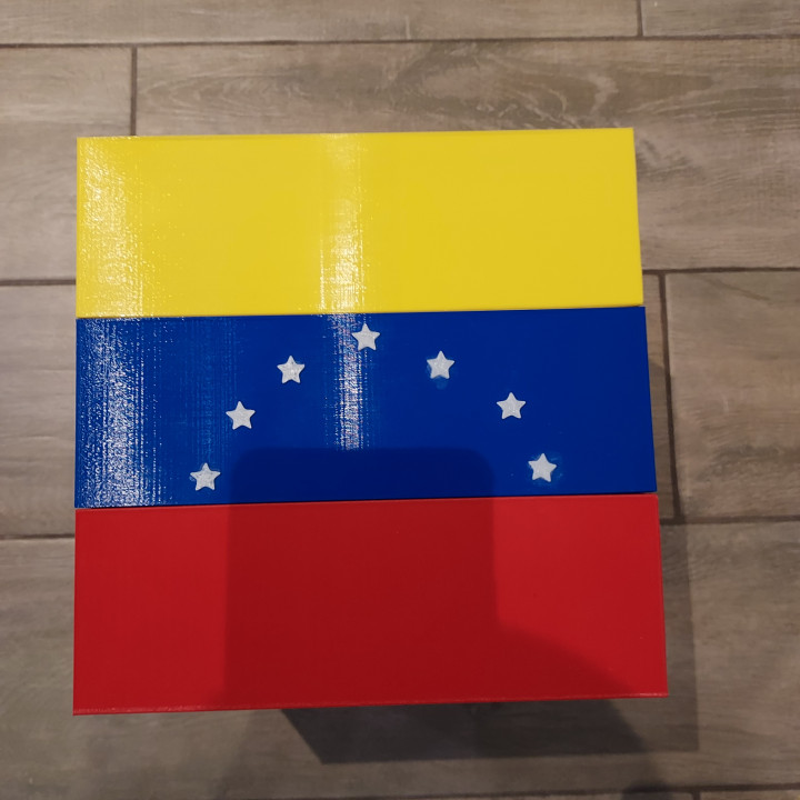 flag of the republic of venezuela