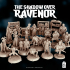 BUNDLE | The Shadow Over Ravenor image