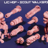 LIC HOP - Scout Walker Pack image