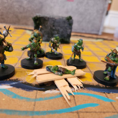 Picture of print of Goblin Warband - Book of Beasts - Tabletop Miniatures (Pre-Supported)