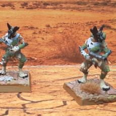 Picture of print of Jackal Nomads