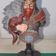 Picture of print of Kolgrim viking bust pre-supported
