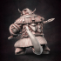 Pangolin Warrior  D image