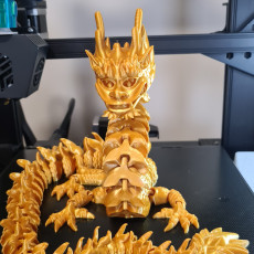 Picture of print of Flexi Print-in-Place Imperial Dragon This print has been uploaded by Kieran Clarke