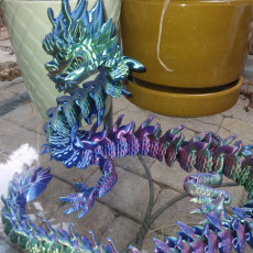Picture of print of Flexi Print-in-Place Imperial Dragon