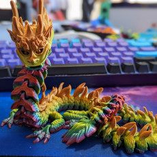 Picture of print of Flexi Print-in-Place Imperial Dragon