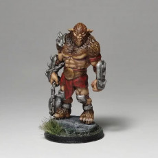 Picture of print of Bugbear Warband - Book of Beasts - Tabletop Miniatures (Pre-Supported)