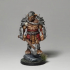 Bugbear Warband - Book of Beasts - Tabletop Miniatures (Pre-Supported) print image