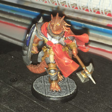 Picture of print of Dragonfolk Paladin