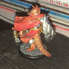 Picture of print of Dragonfolk Paladin