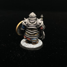 Picture of print of Dwarf Iron Guards