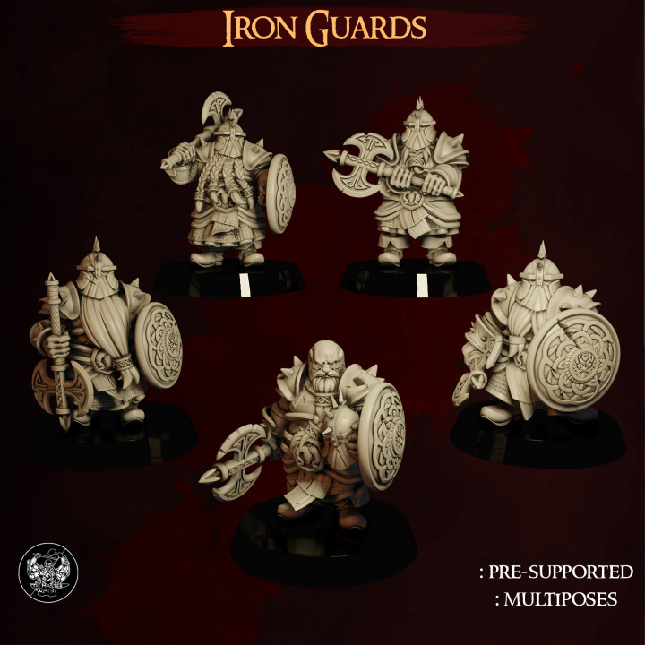Dwarf Iron Guards's Cover