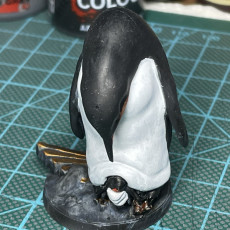 Picture of print of Emperor Penguin
