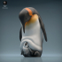 Emperor Penguin image