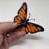 Butterfly Automaton image